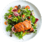 Salmon Salad